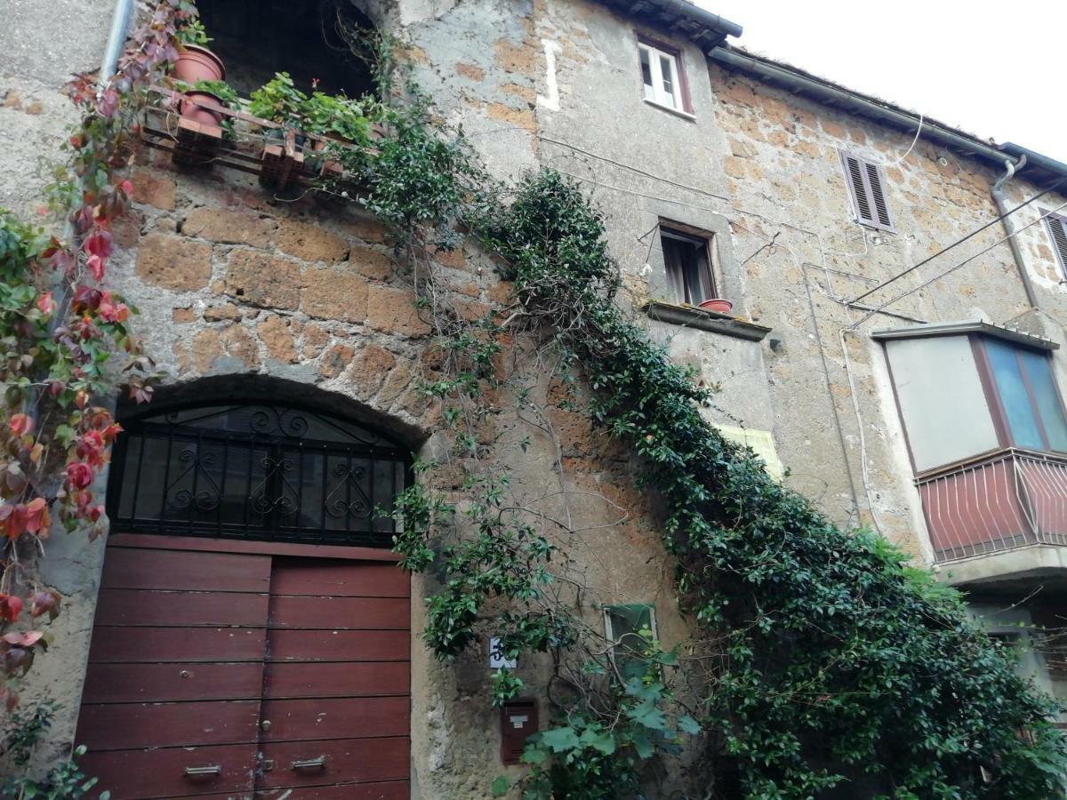 Relax Dal Caos Di Citta Apartman Barbarano Romano Kültér fotó