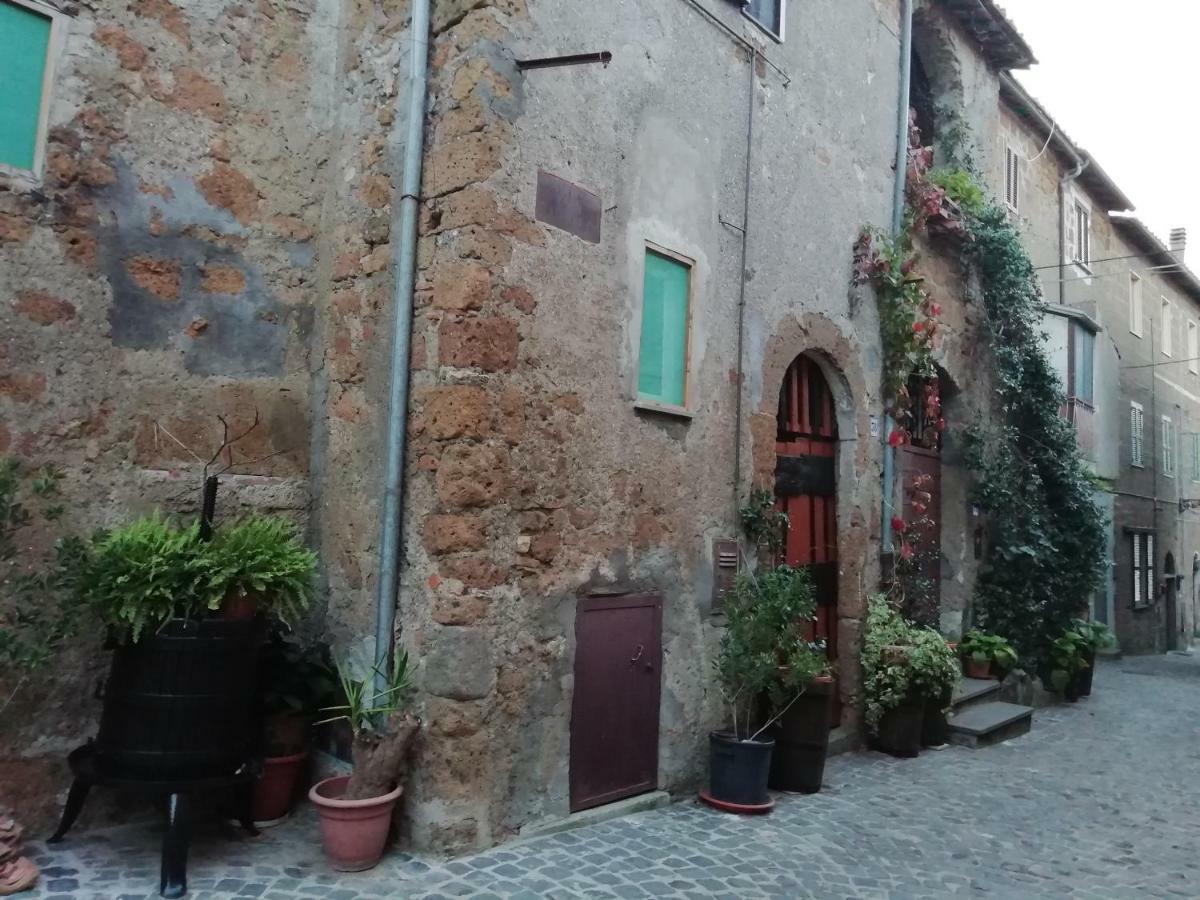 Relax Dal Caos Di Citta Apartman Barbarano Romano Kültér fotó
