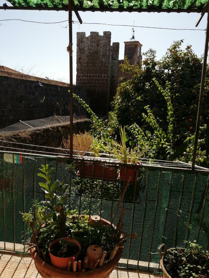 Relax Dal Caos Di Citta Apartman Barbarano Romano Kültér fotó