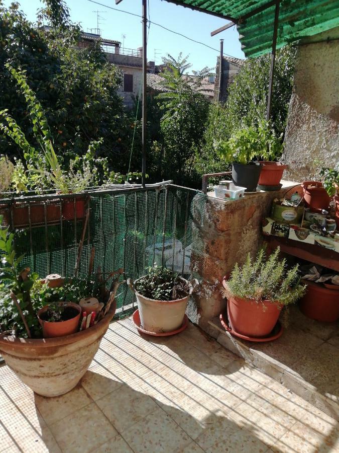 Relax Dal Caos Di Citta Apartman Barbarano Romano Kültér fotó